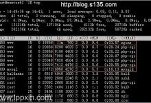 Nginx 0.7.x + PHP 5.2.6(FastCGI)+ MySQL 5.1 在128M小内存VPS服务器上的配置优化-贝壳主机网