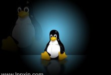 大神教你在Linux中查找和删除重复文件的4种方法-贝壳主机网