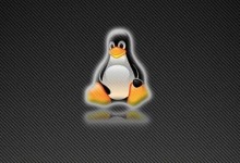 Linux环境变量配置全攻略-贝壳主机网