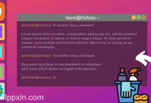 如何清除Ubuntu和其他Linux发行版的终端屏幕-贝壳主机网