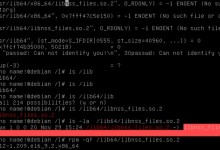 阿里云ECS实例挂载PE盘使用chroot命令提示“I have no name”错误的解决方法-贝壳主机网