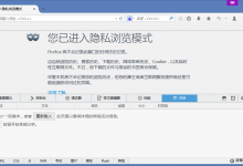 优化WordPress的Google字体以加速内服务器上的运行-贝壳主机网