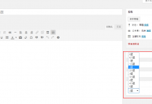 WordPress 添加Meta Box的方法-贝壳主机网