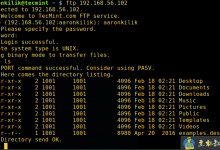 Ubuntu 下安装和配置 FTP服务器-贝壳主机网