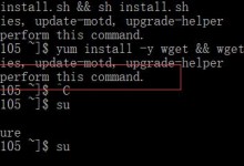 亚马逊EC2在linux 终端 you need to be root to perform this command问题解决-贝壳主机网