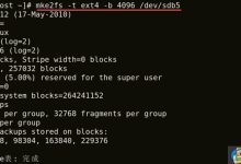 Linux磁盘格式化命令详解-贝壳主机网