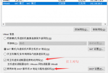 CentOS-NAT模式下(DHCP)联网成功案例-贝壳主机网