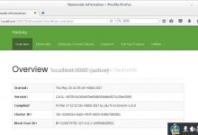 Linux中Centos7搭建Hadoop服务步骤-贝壳主机网