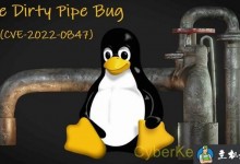 Linux 内核最新高危提权漏洞:脏管道 (Dirty Pipe)-贝壳主机网