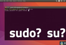 Linux系统中sudo命令的十个技巧总结-贝壳主机网